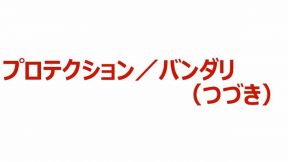 04-03-01-02.プロテクション／バンダリ（つづき）